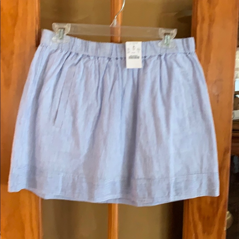 J crew skirt